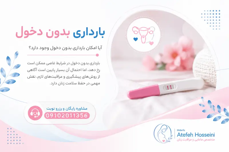 بارداری بدون دخول