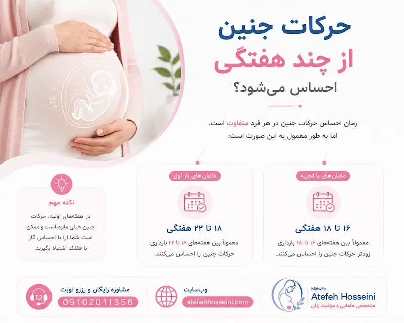 حرکات جنین از چند هفتگی احساس می‌شود؟