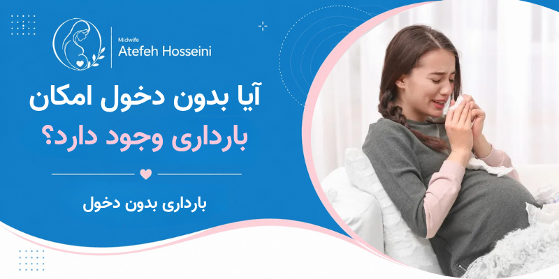آیا بدون دخول امکان بارداری وجود دارد؟