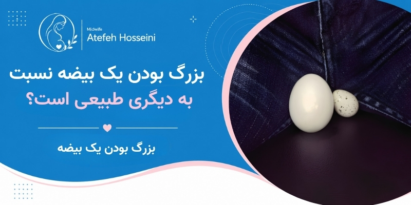 بزرگ بودن یک بیضه نسبت به دیگری طبیعی است؟